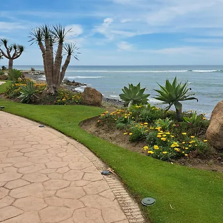 Hello Cosmo * Estepona